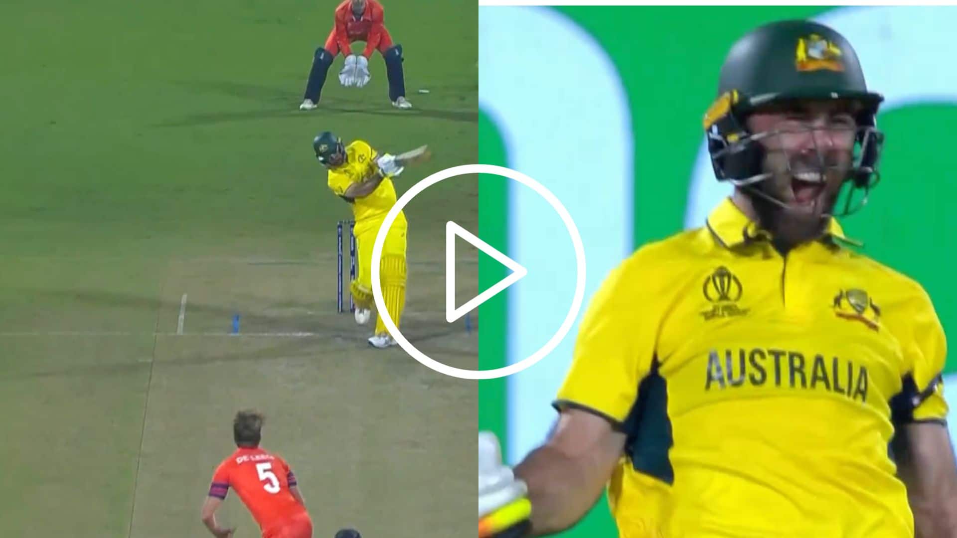 [Watch] Glenn Maxwell Roars After Slamming Fastest World Cup Ton With A Monstrous Six